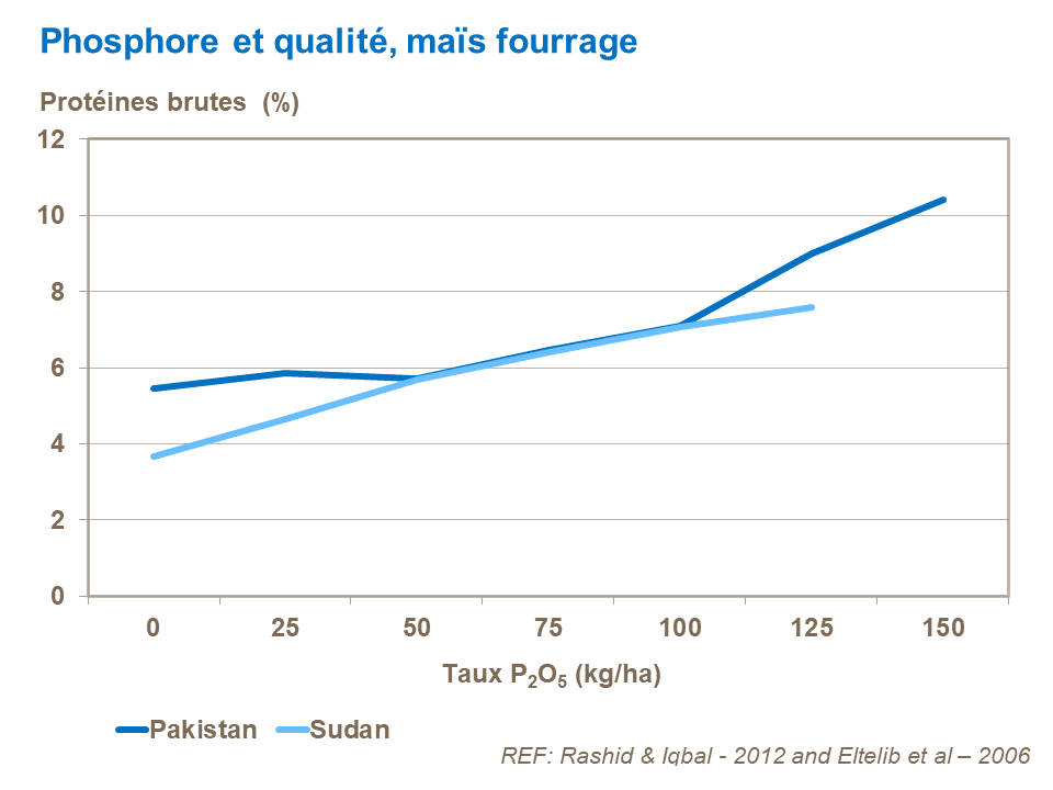 FR - P and forage corn quality.png