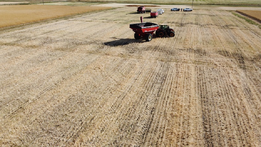 saskatoon incubator farm