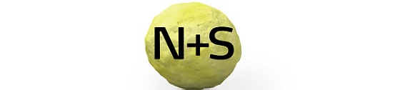 N+S Logo.jpg