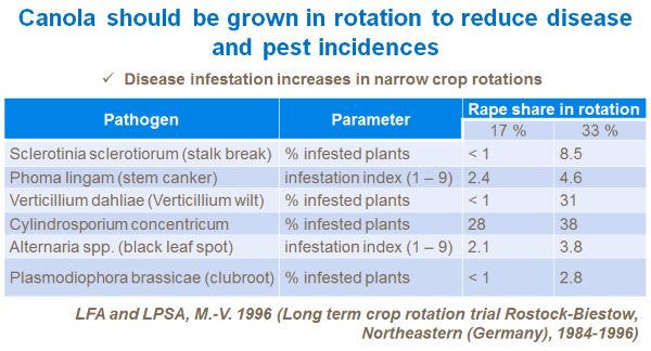 canola should be grown in rotation