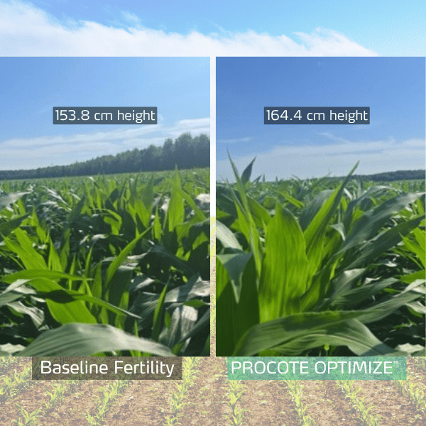 procote optimize trial in corn