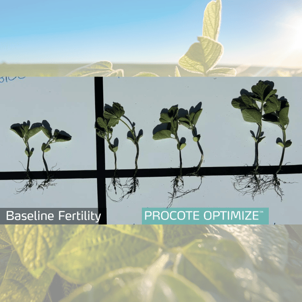procote optimize trial in soybean