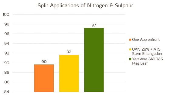 Split application of Nitrogen and Sulphur.jpg