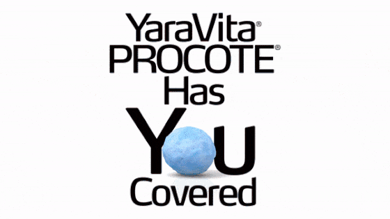 Procote-customized-blaned-resized.gif