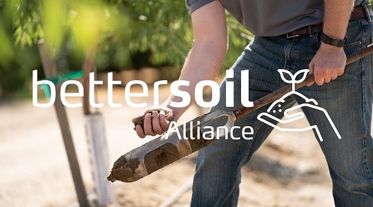 soil sampling in an almond orchard