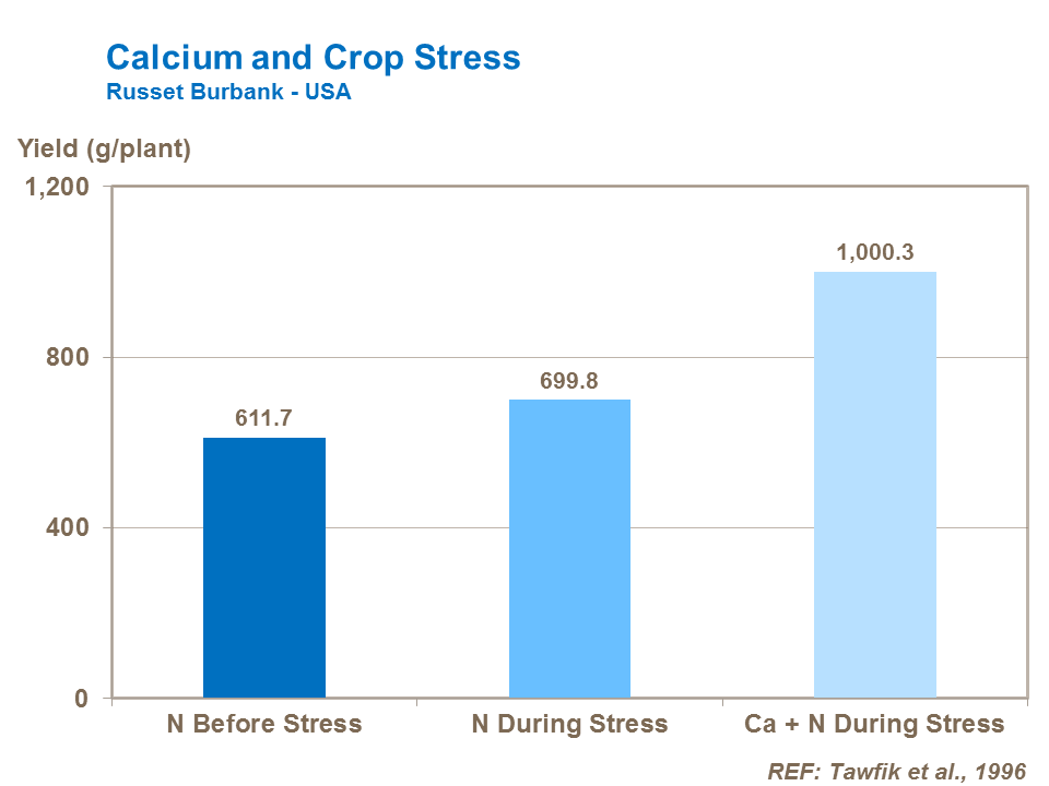 Calcium and potato crop stress