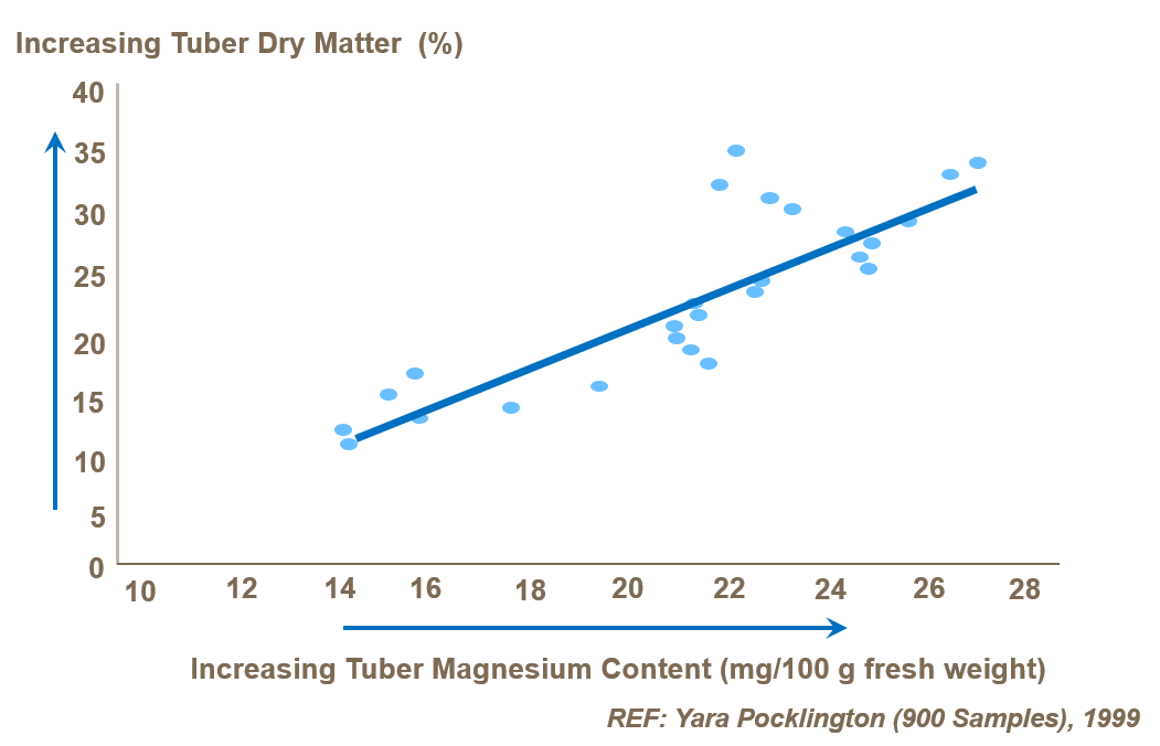 PM_Potato_graph_Mg and dry matter.png