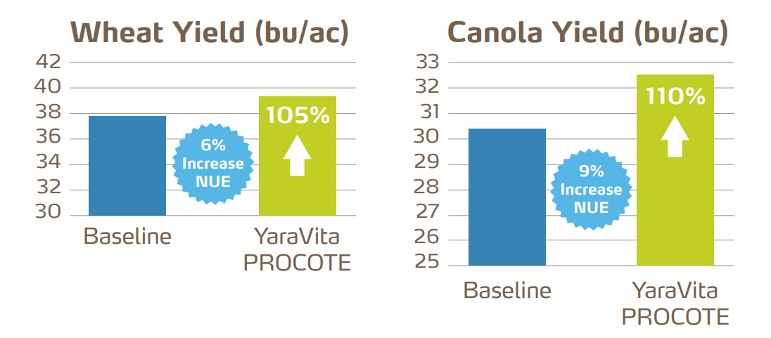 wheat and canola yield and nue