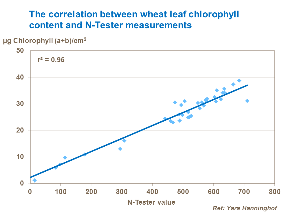 Correlation between wheat leaf chlorophyll